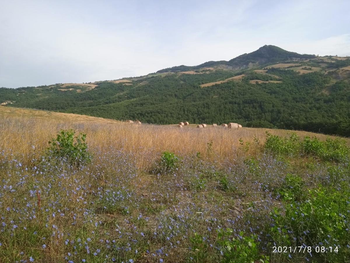 Due Principi E Una Fata เซสโตลา ภายนอก รูปภาพ